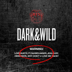 BTS(방탄소년단) - DARK & WILD 