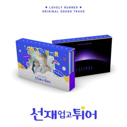 V.A. - Lovely Runner OST