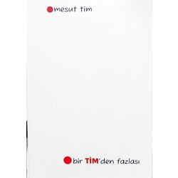 Bir TİM'den Fazlası - Mesut Tim