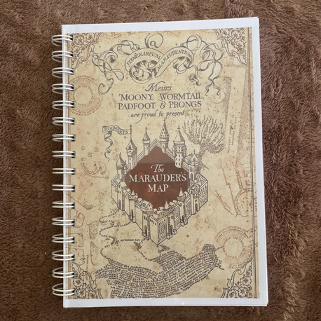 Harry Potter Ajanda Kutusu
