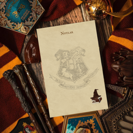 Harry Potter Not Defteri