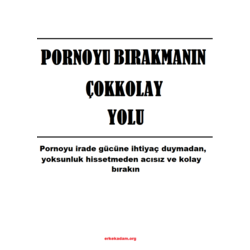 Pornoyu Bırakmanın Çok Kolay Yolu