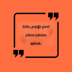 •Ege’nin Cinayeti&İpeğin Cinayeti 