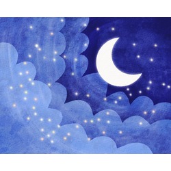 Starry Night (Yıldızlı Gece)