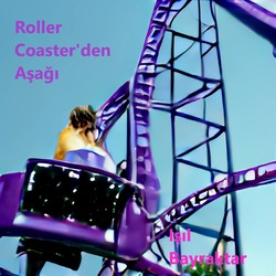 Kişisel Olan Politiktir - Öyküler Roller Coaster'den Aşağı 