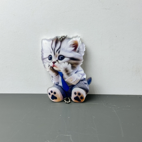 TN İTHAL AYNA SÜSÜ KEDİCİK