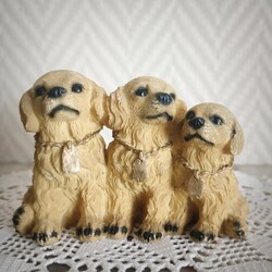 Golden Puppies Biblo 