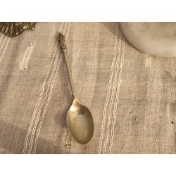 Kolleksiyonluk Havari Kaşık