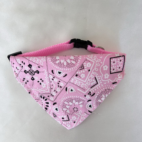 Küçük Irk Köpek Buff