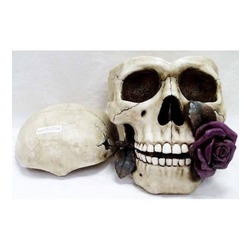 WISE Veronese İskelet Serisi-WISE KURUKAFA KULLUK-15*23*13 CM