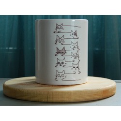 cats faces 