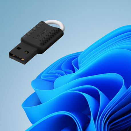 Windows 11 USB Format Bellek (Lisans Anahtarı Hediyeli)