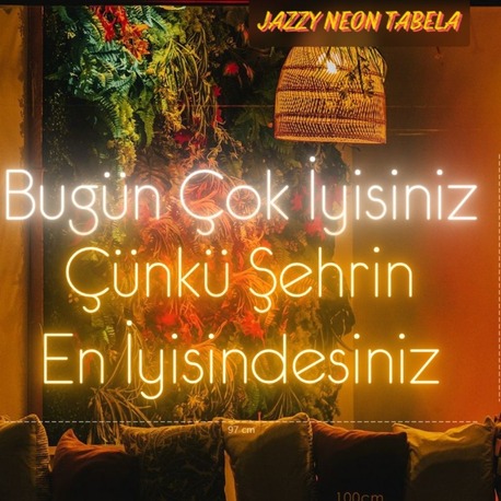 BARIŞ KAYA- 2 ADET NEON TABELA