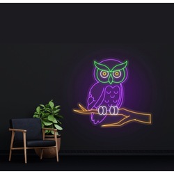 Owl Baykuş Neon Tabela