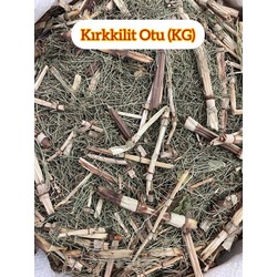 Kırkkilit Otu (1 KG)