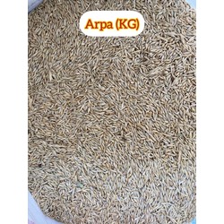 Arpa (1 KG)