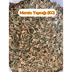 Mersin Yaprağı (1 KG)