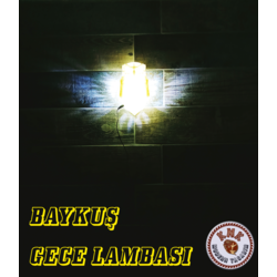 BAYKUŞ FİGÜRLÜ GECE LAMBASI- DEKOR (FOSFORLU)
