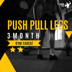 Push Pull Legs 3 Month