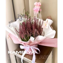 Calluna