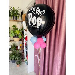 cinsiyet balonu