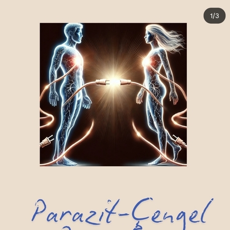 Parazit-Çengel Çalışması