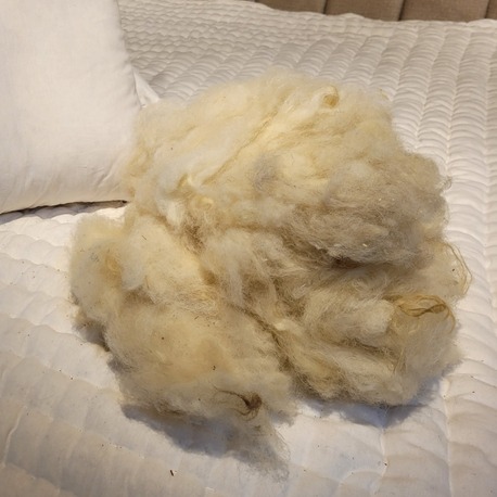 DOĞAL YIKANMIŞ KOYUN YÜNÜ 1000GR