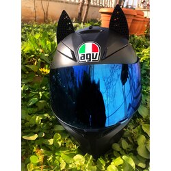 SİYAH KEDİ KULAĞI