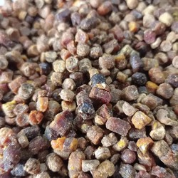 Perga (Arı Ekmeği) 100 Gr