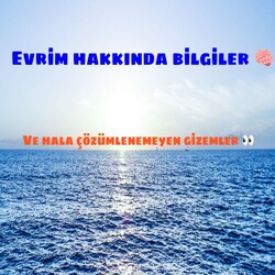 evrimi ve evren teorisini anlatan bir kitap 