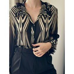 Roberto Cavalli Vintage İpek Gömlek
