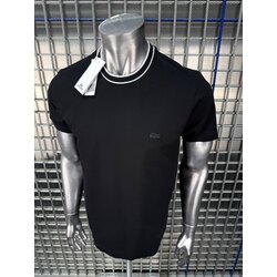 LACOSTE İTHAL TİŞÖRT