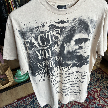 Chuck Norris Facts Graphic T-Shirt