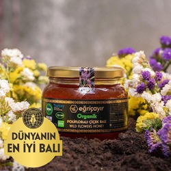 Polifloralı Bal Eğriçayır Organik 450g