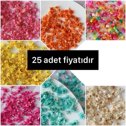 Brezilya papatyası