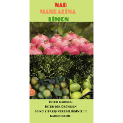 NAR,MANDALİNA,LİMON/10kg (Kargo Dahil)