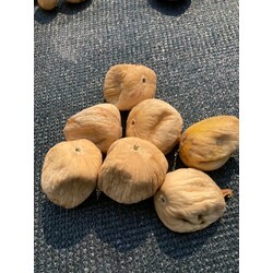 DAĞ İNCİRİ(KÜÇÜK BOY) (1KG)