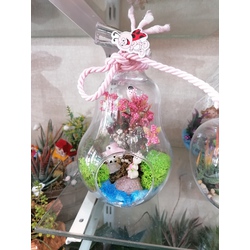 Dekoratif Teraryum 4