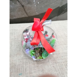 Dekoratif Teraryum 2