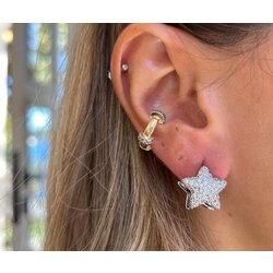 Zirkon Taşlı Yıldız Küpe Silver