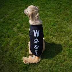 Woof Body Büyük Irk