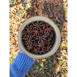 Yıldız Anason ⭐️ 150 gr (Gaz ve Şişkinliği Bitiren, Emziren Annelerin Dostu )