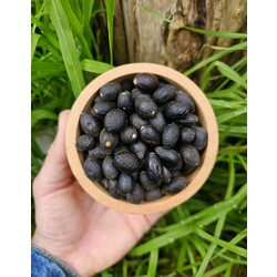 Dağ Defne Tohumu 250 gr (Yüksek Rakım Yabani Hasat)