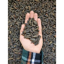 Kara Halile 250 gr (Geleneksel Tıbbın Kilit Taşı)
