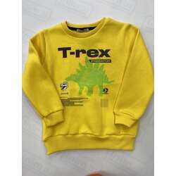 T-REX BASKI ÇOCUK SWEAT