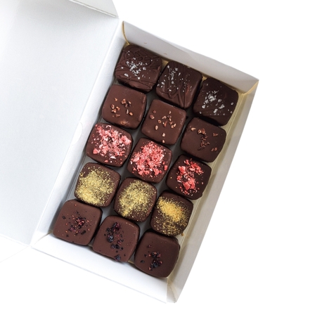 Karma Bites | 15 Bites