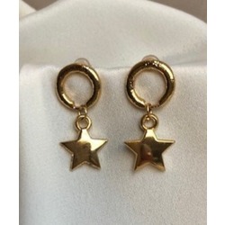 Sallantılı Yıldız Küpe / Earring
