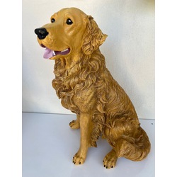 Büyük Golden Köpek