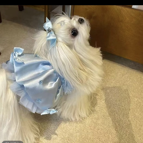 Pet Prenses elbise 