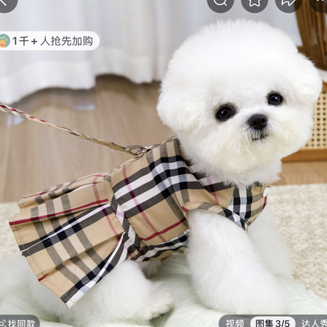 Burberry özel tasarımlı pet elbise